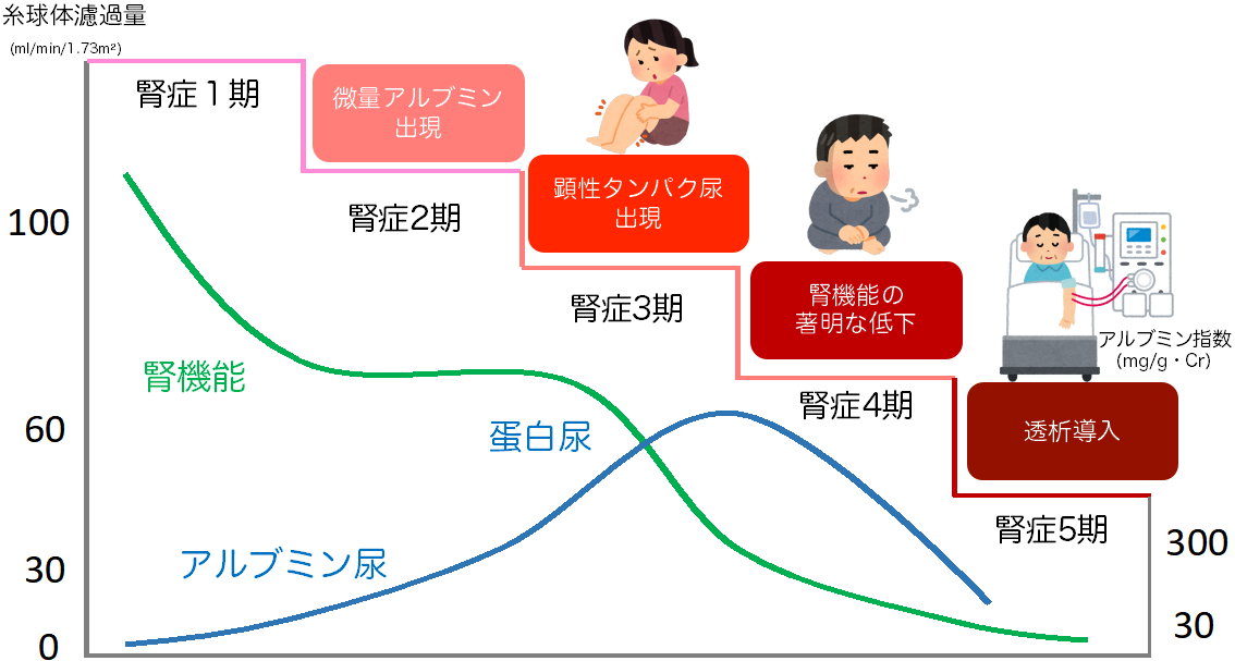 糖尿病腎症